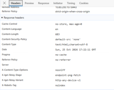 Response details from the failed endpoint image fetch, before the relay returned a PNG.