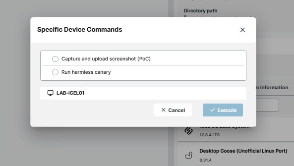 UMS Specific Device Commands dialog with the screenshot PoC command selected before execution.