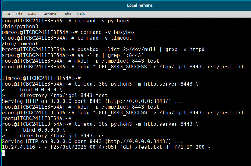 Endpoint terminal showing a temporary Python HTTP server serving a test directory on port 8443.